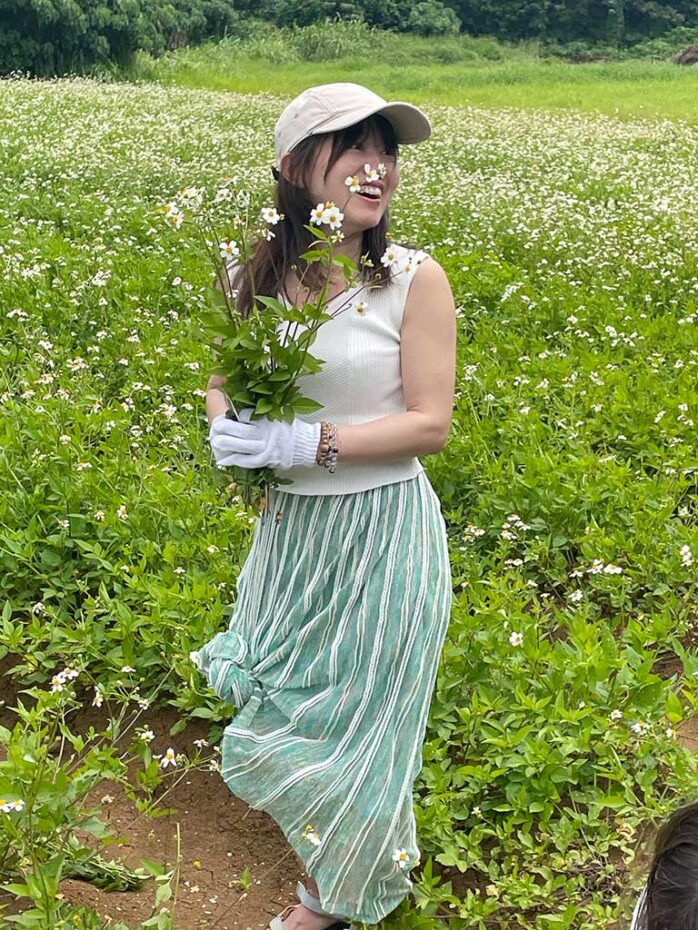 宮古ビデンスピローサの収穫（研修）